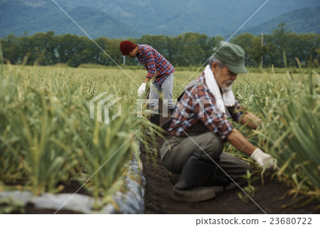 Farm family parent work scenery Farm family parent work scenery 23680722