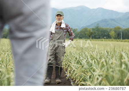 Farm work scenery Farm work scenery 23680787