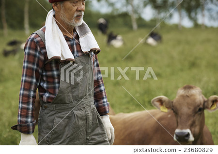 Farmhouse portrait 23680829