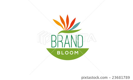 Natural elements logo template 23681789