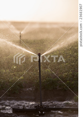 watering irrigation system 23681907