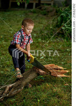 boy sawing fallen tree in garden 23682492