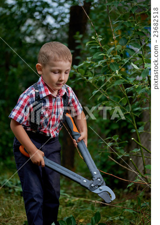 boy cuts off branches of the shrub boy cuts off branches of the shrub 23682518