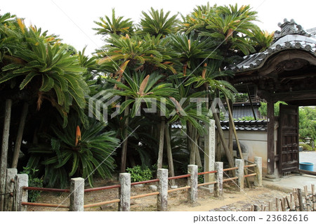 Natural Monument of Nomahimeji Great Stones Natural Monument of Nomahimeji Great Stones 23682616