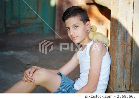 boy with little yellow duckling in summer village boy with little yellow duckling in summer village 23683663