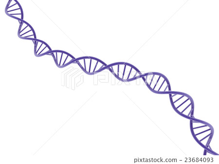 DNA紫色 23684093