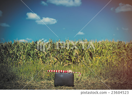 suitcase and umbrella 23684523