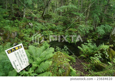 Manganese deposit of Onne Toe waterfall Manganese deposit of Onne Toe waterfall 23684610