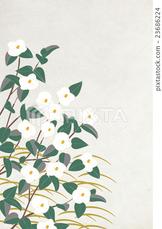 Japanese style background material Camellia Japanese style background material Camellia 23686224