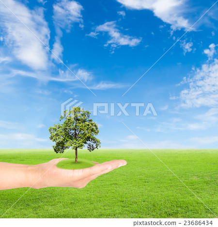 Green Earth concept,hand holding tree 23686434