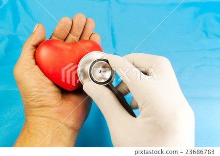 check heart up by stethoscope 23686783
