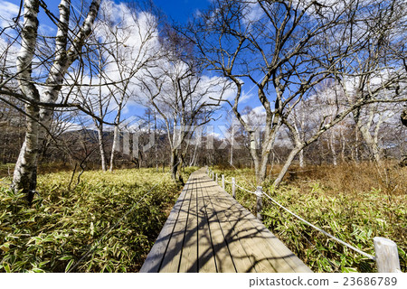 日光國立公園Senjohgahara海濱長廊 日光國立公園Senjohgahara海濱長廊 23686789