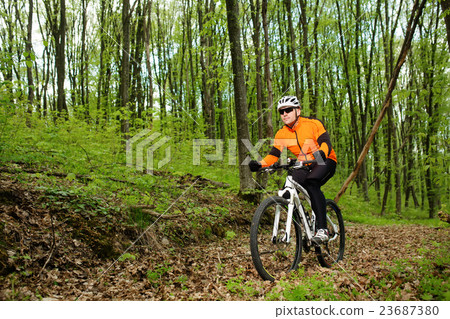 Biker on the forest road Biker on the forest road 23687380
