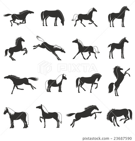 Horse Breeds Silhoettes Black Icons Set  23687590