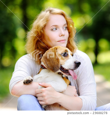 Beautiful woman with Beagle dog Beautiful woman with Beagle dog 23688278