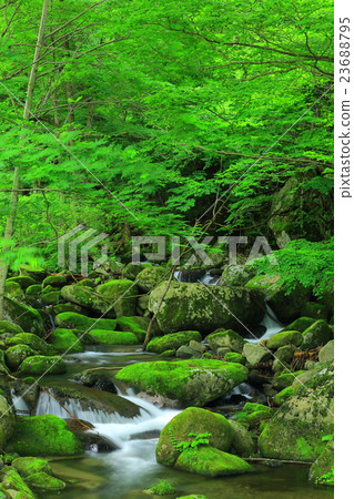 世界遺產Hashino高爐廢墟 23688795