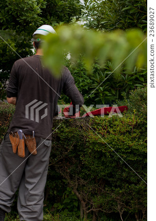 Gardener Gardener 23689027