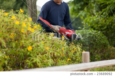 Gardener 23689092
