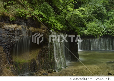Shiraito Falls /輕井澤(長野縣) Shiraito Falls /輕井澤(長野縣) 23689510