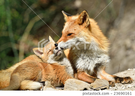 Happy moments Happy moments 23690161