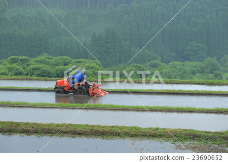水稻坂本水稻梯田的製備 水稻坂本水稻梯田的製備 23690652