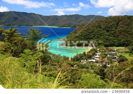 Kuneomujima Sachi Katsuki Kuneomujima Sachi Katsuki 23690856