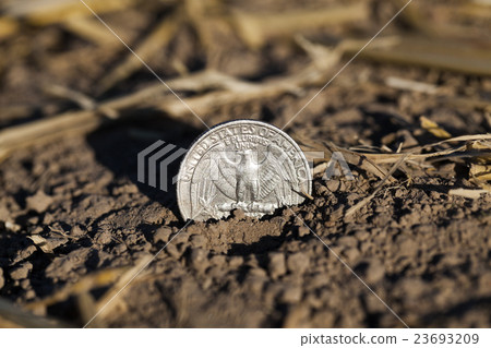 coin on the ground   23693209
