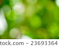 Abstract Nature green bokeh for background 23693364