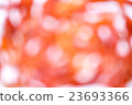 Abstract Red tone blur bokeh light for background. 23693366