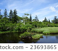 Shinsen swamp 23693865