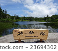 Shinsen swamp 23694302