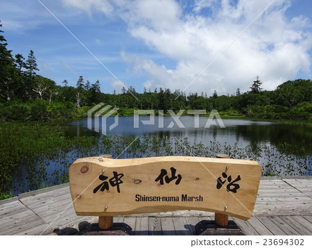 新森沼澤 23694302