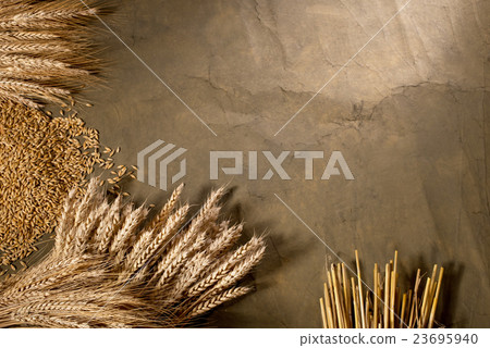 wheat and barley 23695940