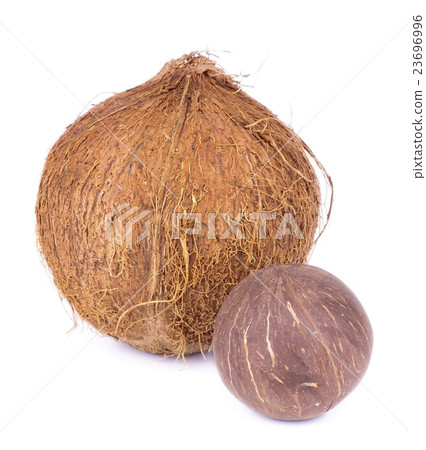 Coconuts Coconuts 23696996