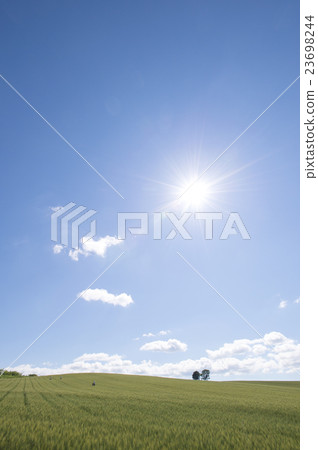 山地 山地 23698244