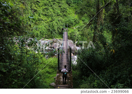 Suspension bridge Suspension bridge 23699066