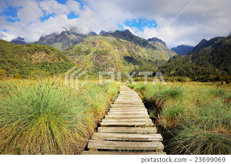 Rwenzori徒步旅行 Rwenzori徒步旅行 23699069