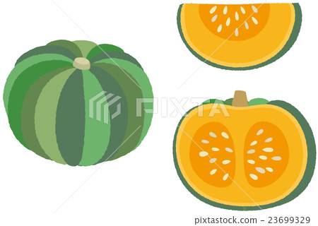 pumpkin - Stock Illustration [23699329] - PIXTA