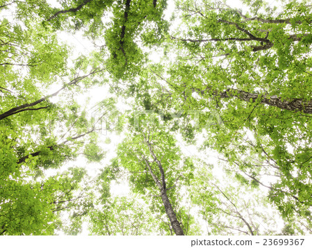 俯瞰宮城縣仙台市南側自然豐富的丘陵地帶森林“小冊子”的天空 23699367