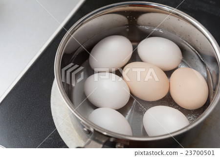 煮雞蛋 煮雞蛋 23700501