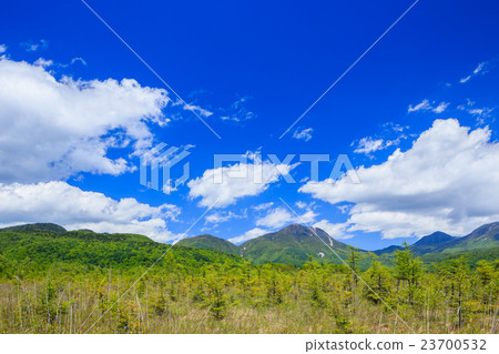 Nikko Spring的Senjogahara（太郎山，San-Hat Mountain，Mikake） 23700532