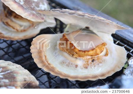 BBQ scallops BBQ scallops 23700646