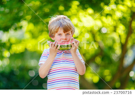 little preschool kid boy eating watermelon in 23700716