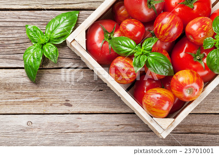 Fresh ripe garden tomatoes 23701001