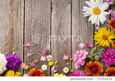 Garden flowers over wood 23701014
