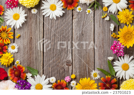 Garden flowers over wood 23701023