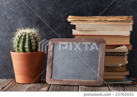 Books, cactus and chalk board 23701033