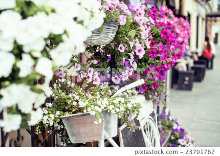 flower in basket of vintage bicycle on vintage flower in basket of vintage bicycle on vintage 23701767