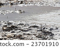 Dead Sea dirt in nature 23701910