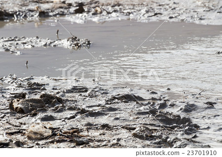 Dead Sea dirt in nature Dead Sea dirt in nature 23701910